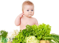 夏季寶寶飲食原則是什么？夏季寶寶吃什么好？