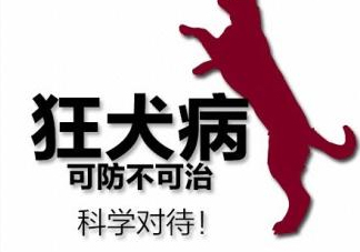 狂犬病會傳染嗎？狂犬病會學狗叫嗎