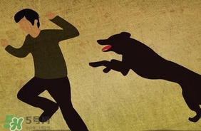 狂犬病疫苗什么時(shí)候打？狂犬病潛伏期最長多久