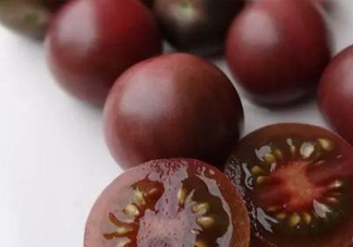 黑番茄是轉(zhuǎn)基因嗎？黑番茄是轉(zhuǎn)基因食品嗎