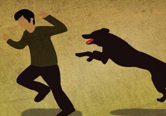 狂犬病能治好嗎？狂犬病的早期癥狀