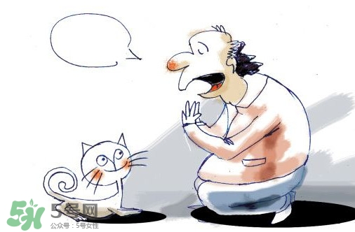 被貓抓傷會得狂犬病嗎？被貓咬了會得狂犬病嗎