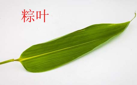 粽子是用什么葉包的 粽子葉怎么處理才能用