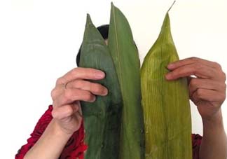 干粽葉怎么煮？干粽葉煮多久？