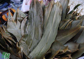 粽子葉可以反復(fù)用嗎？粽葉可以反復(fù)用嗎？