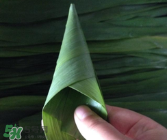 粽子葉能冷凍嗎？粽子葉放冰箱冷藏還是冷凍？