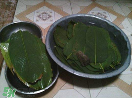 粽子葉怎么洗？粽葉怎么洗才干凈？