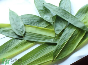 如何挑選粽葉？粽子葉怎么選？