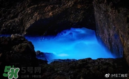 浙江多地驚現(xiàn)藍(lán)眼淚現(xiàn)象 藍(lán)眼淚是什么？