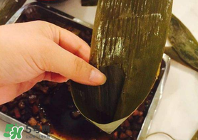 粽子葉怎么煮？煮粽葉的步驟