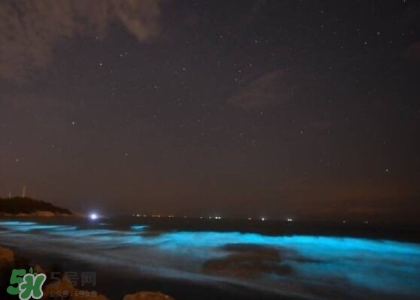 浙江多地驚現(xiàn)藍(lán)眼淚現(xiàn)象 藍(lán)眼淚是什么？