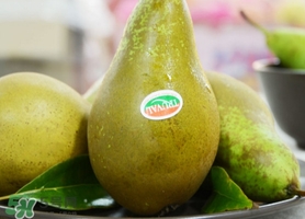 啤梨可以放冰箱放軟嗎？啤梨怎么保存時間久