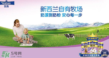 安滿滿睿幼兒配方奶粉怎么樣？安滿滿睿奶粉怎么沖？