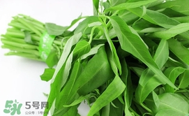 空心菜可以放冰箱嗎？空心菜能在冰箱放幾天