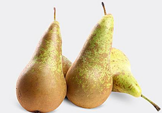  比利時啤梨怎么吃？比利時啤梨怎么是軟的？