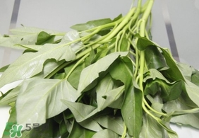 空心菜可以生吃嗎？空心菜能生吃嗎