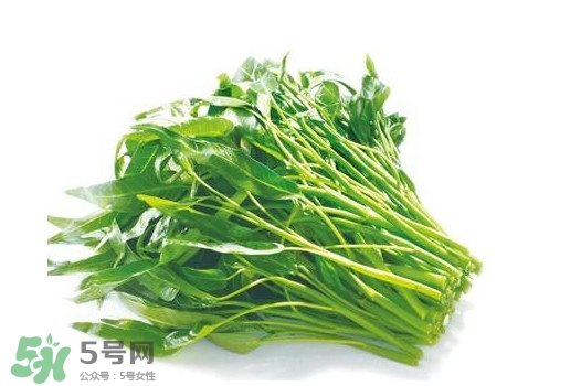 空心菜有毒嗎？空心菜需要焯水嗎？