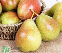 啤梨可以放冰箱放軟嗎？啤梨怎么保存時間久