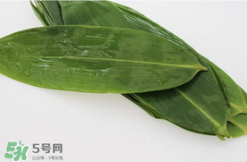新鮮粽葉怎么處理？新鮮粽子葉怎樣處理？