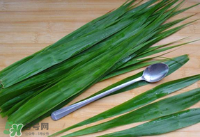 粽葉是蘆葦葉嗎？粽葉和蘆葦葉的區(qū)別