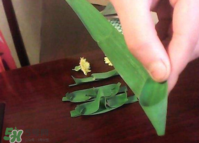 粽葉是蘆葦葉嗎？粽葉和蘆葦葉的區(qū)別