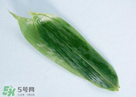 箬葉可以包粽子嗎？箬葉怎么包粽子？