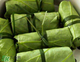 荷葉可以包粽子嗎？荷葉怎么包粽子？