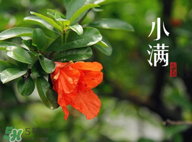 ?小滿可以回娘家嗎？?小滿能回娘家嗎？