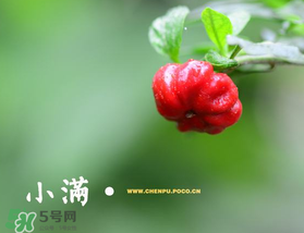 ?小滿可以回娘家嗎？?小滿能回娘家嗎？