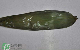 粽葉怎么曬干？粽葉怎么曬干不卷？