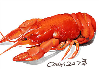 梁荷龍蝦怎么樣？ 梁荷龍蝦好吃嗎？