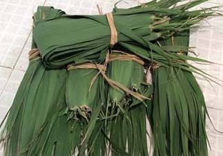 粽葉是蘆葦葉嗎？粽葉和蘆葦葉的區(qū)別