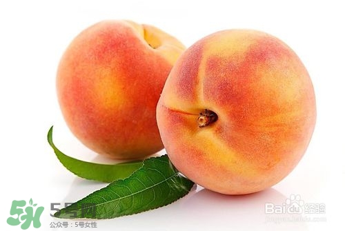 桃子的種類有哪些？哪種桃子最好吃？