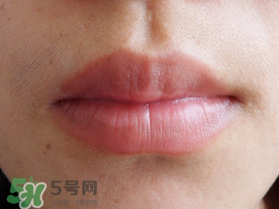 rosebud玫瑰花蕾膏的功效 玫瑰花蕾膏的成分 rosebud玫瑰花蕾膏的功效 玫瑰花蕾膏的成分