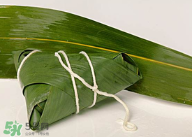 新鮮粽葉怎么處理？新鮮粽子葉怎樣處理？