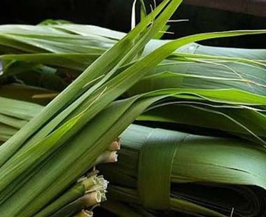 新鮮粽葉怎么處理？新鮮粽子葉怎樣處理？