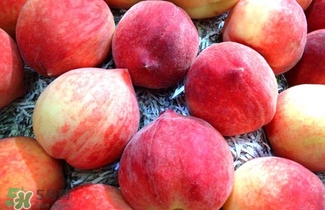 水蜜桃的產(chǎn)地在哪里？水蜜桃熱量高嗎？