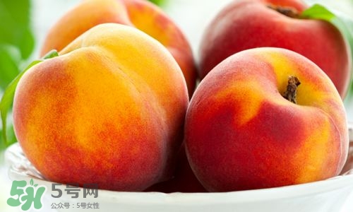 桃子的種類有哪些？哪種桃子最好吃？