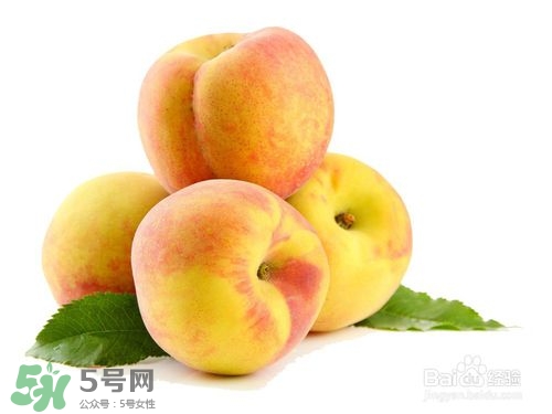 桃子的種類有哪些？哪種桃子最好吃？