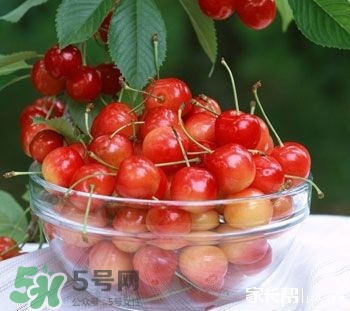 櫻桃是熱性還是涼性？櫻桃能多吃嗎？
