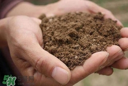 女子30年吃1噸土 異食癖是缺什么？