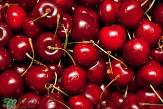 櫻桃和車?yán)遄佑惺裁磪^(qū)別？櫻桃和車?yán)遄幽膫€貴？