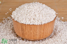 江米泡多久才可以包粽子？江米包粽子跑多長時間？