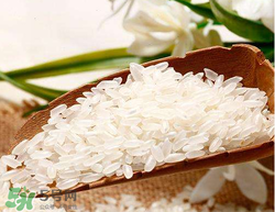 大米可以包粽子嗎？包粽子大米要泡多久？