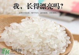 大米可以包粽子嗎？包粽子大米要泡多久？