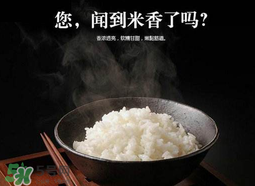 大米可以包粽子嗎？包粽子大米要泡多久？