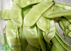 扁豆怎么洗干凈?扁豆的清洗方法 扁豆怎么洗干凈?扁豆的清洗方法