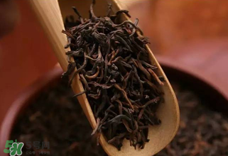 普洱茶能不能天天喝？天天喝普洱茶好嗎？
