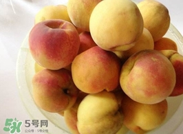 黃桃是杏子嗎？黃桃和杏子的區(qū)別