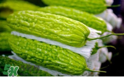 苦瓜可以生吃嗎？生吃苦瓜可以減肥嗎？